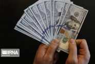 منافع ارز ۴۲۰۰ تومانی باید به مردم بازگردد