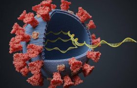 شناسایی ۵ جهش خاص در سویه دلتا پلاس کووید ۱۹