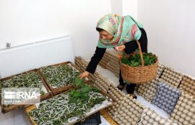 یک تا ۱۰ میلیون تومان سرمایه‌گذاری برای ایجاد اشتغال