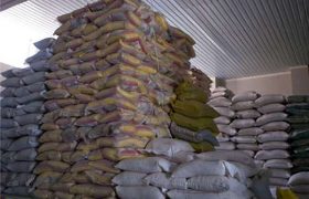 توزیع انبوه برنج برای کنترل بازار