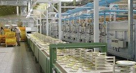 نوسانات ارزی مهم‌ترین معضل صنعتگران است