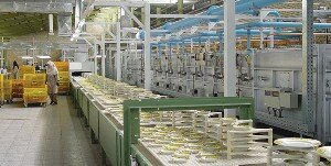 نوسانات ارزی مهم‌ترین معضل صنعتگران است