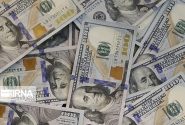 ارز ۴۲۰۰ تومانی فساد و تورم ایجاد کرد و به رانت اقتصادی تبدیل شد/ تخصیص این ارز توجیه اقتصادی ندارد
