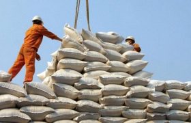 برنج در فهرست بعدی ممنوعیت صادراتی هند