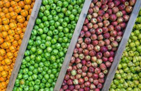 صادرات محصولات کشاورزی خراسان رضوی در برزخ تصمیم‌گیری‌ها