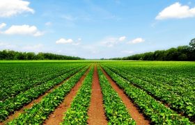 مشکلات کشاورزی و صادرات تاجیکستان