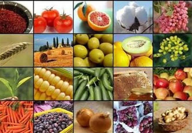 <strong>ابلاغ فهرست استثنائات ممنوعیت صادرات برخی کالاهای کشاورزی</strong>