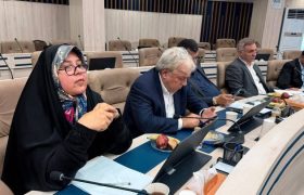 <strong>شیوه رفع تعهد ارزی صادرکنندگان خرد نیازمند بازنگری است</strong>